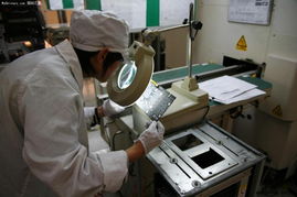 本土品牌揚帆出海，七彩虹成立德國分公司布局歐洲市場